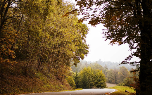 1754992 (a): :1920x1200